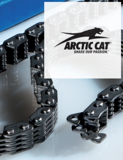  - Rozvodový řetěz Morse pro Artic Cat DVX 400 (04-08)